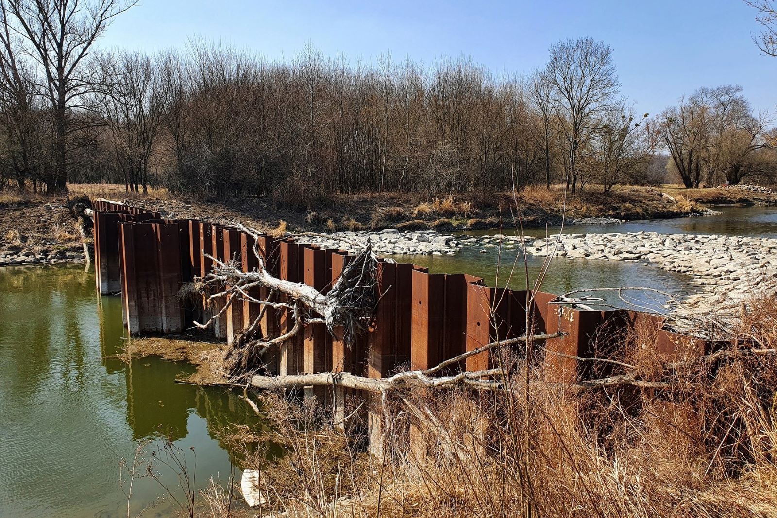 Jižní Morava bývá často postižena suchem. Na fotce nízký stav vody v Dyji nedaleko soutoku s Moravou v okresu Břeclav. Snímek pořízen 26. března 2022. Foto: ČTK