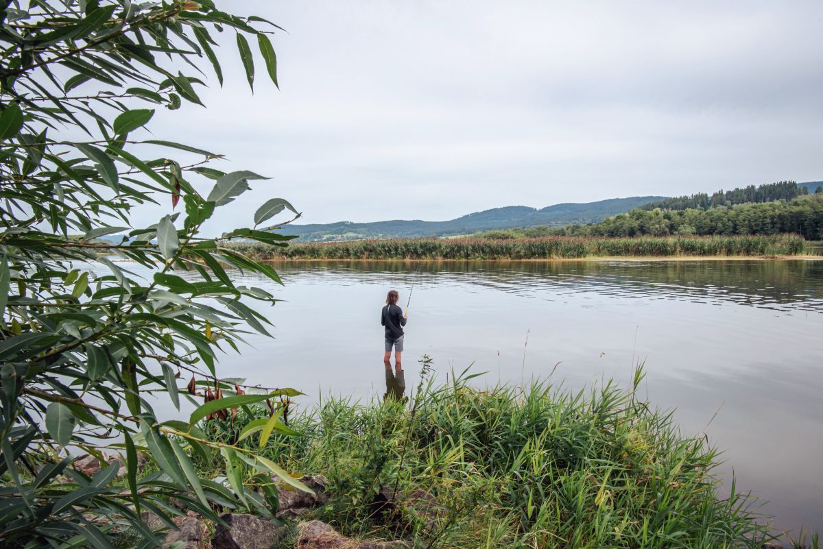 Z dlouhodobých statistik podle rybářského svazu plyne, že si naši rybáři nechávají čím dál méně rybího masa. Foto: Kateřina Hefler, Ekonews