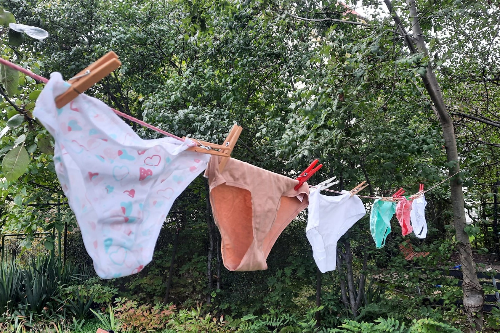 Ve spodním prádle prodávaném na českém trhu se našly nebezpečné bisfenoly. Foto: Arnika