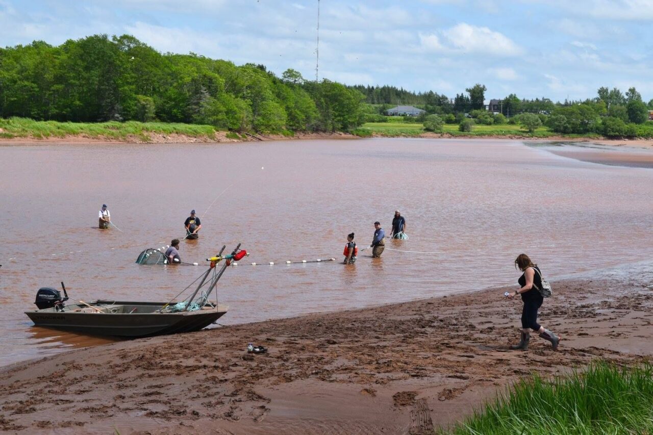 Smlouva z roku 1752 dává Mikmakům právo lovit ryby ve vodách řeky Shubenacadie a zvěř v okolních lesích. Foto: April Maloney