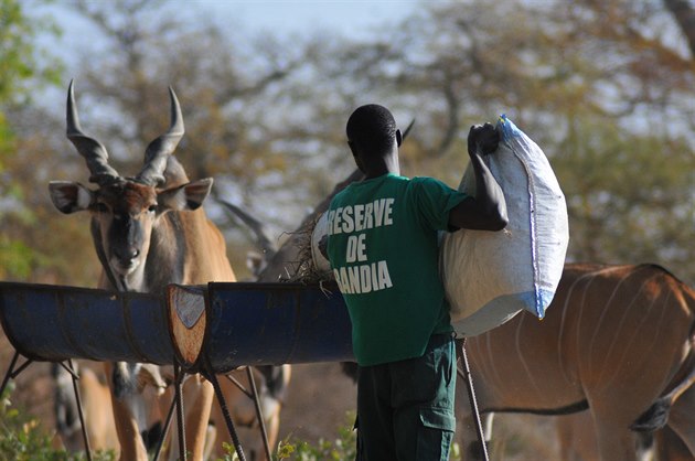 Český spolek Antelope Conservation za vybrané peníze nakoupil pro antilopy mimo jiné krmení. Foto: poskytnuto spolkem Antelope Conservation