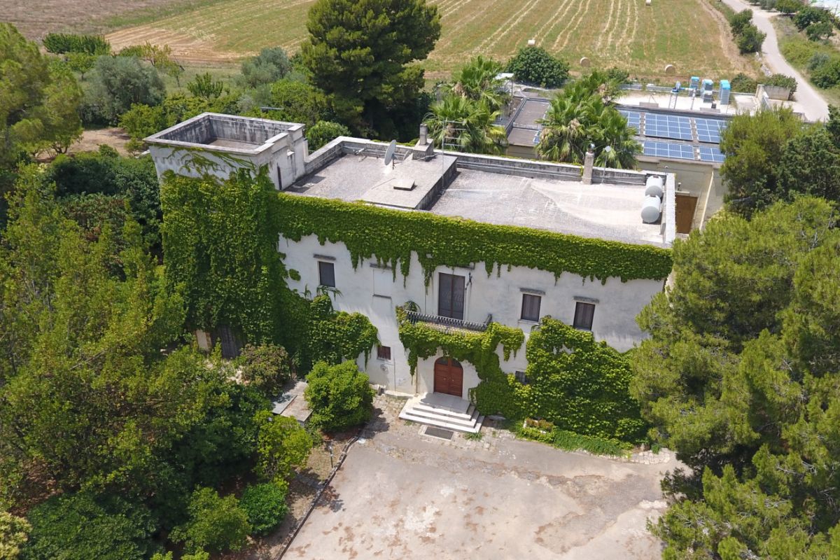 Majitelky vinařství Vetrère kromě révy pěstují na 300 hektarech také olivy, čočku a cizrnu, vše v bio kvalitě. Foto: poskytnuto vinařstvím Vetrère