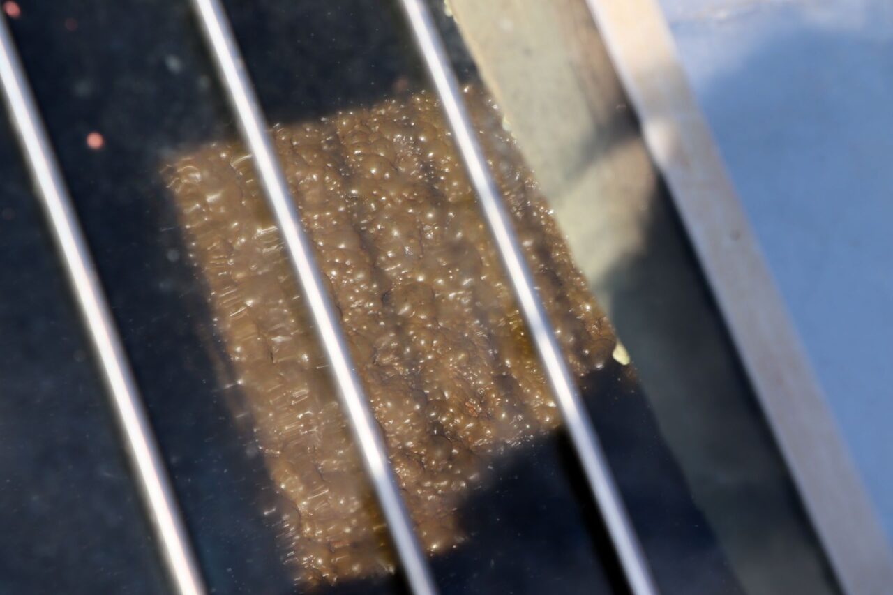 Objemnou masu promíchává velké mechanické rameno, přičemž „bubliny“ bioplynu postupně unikají nahoru. Foto: Karolína Chlumecká, Ekonews