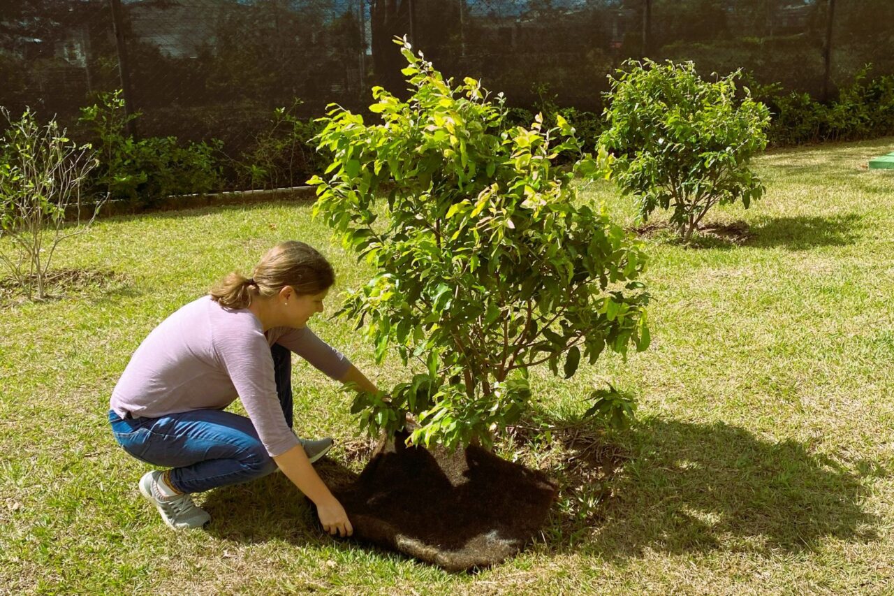 Rohože z vlasů se dají využít i jako mulč. Foto: poskytnuto Matter of Trust
