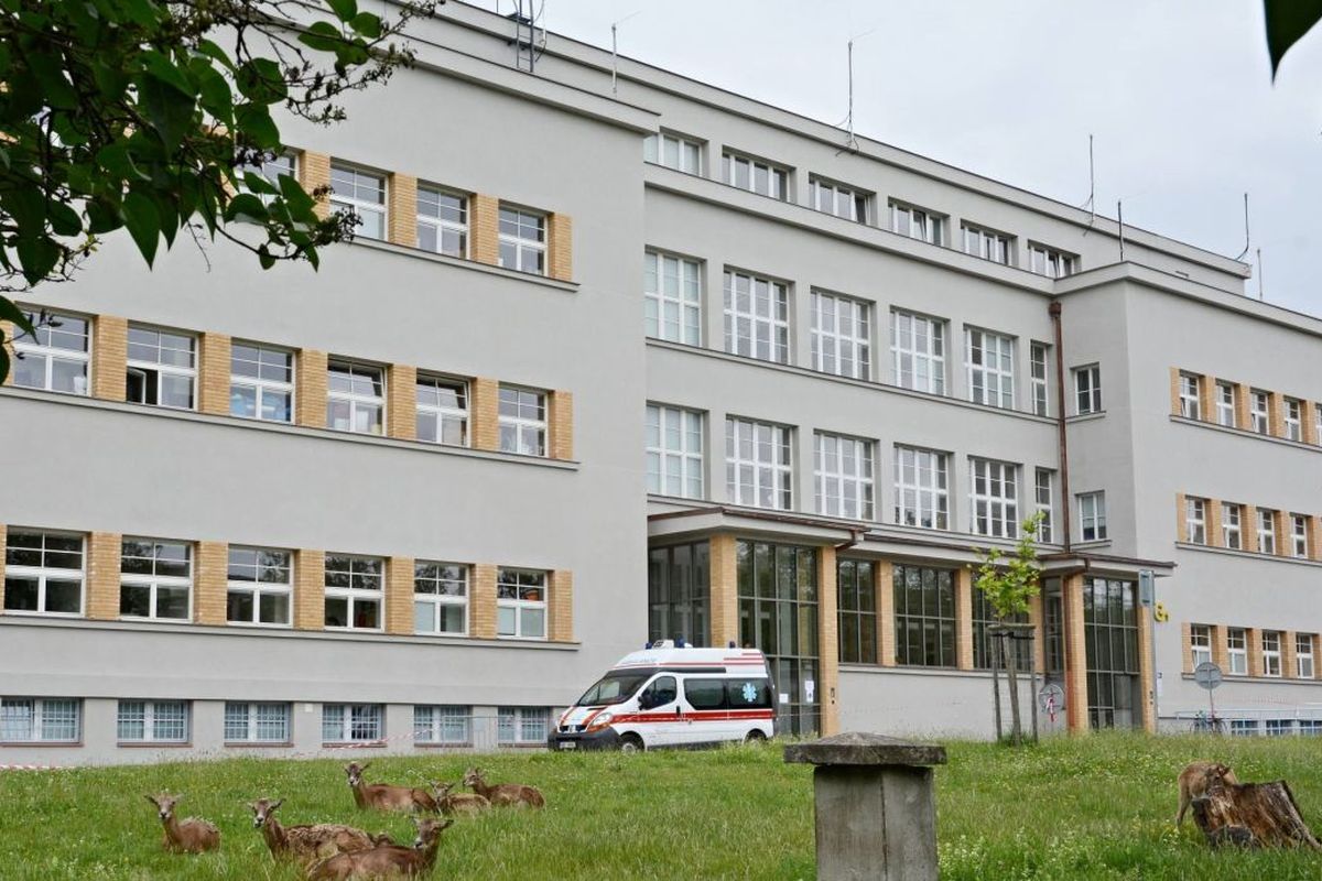 Energeticky úsporná renovace pavilonu G1 pražské Fakultní Thomayerovy nemocnice byla dokončena loni v březnu. Foto: FTN