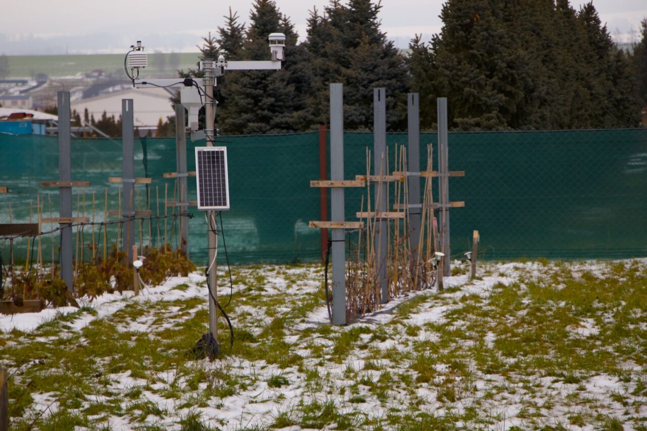 Ve spolupráci s Výzkumným ústavem zemědělské techniky, Českou zemědělskou univerzitou a Výzkumným a šlechtitelským ústavem ovocnářským Holovousy sledují také okolní klima i vlastnosti půdy. Foto: Karolína Chlumecká, Ekonews