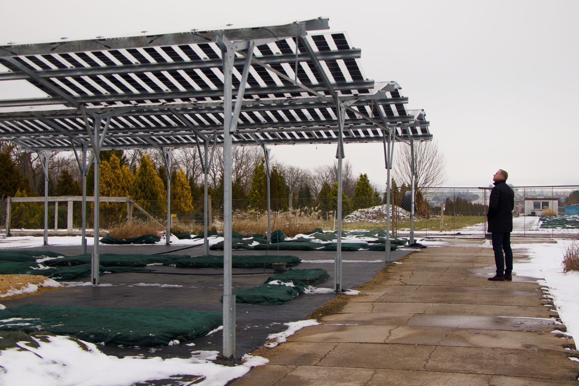 Panely nad rostlinami v květináčích ve Školkách Litomyšl ochránily loni rostliny před supercelou. Foto: Karolína Chlumecká, Ekonews