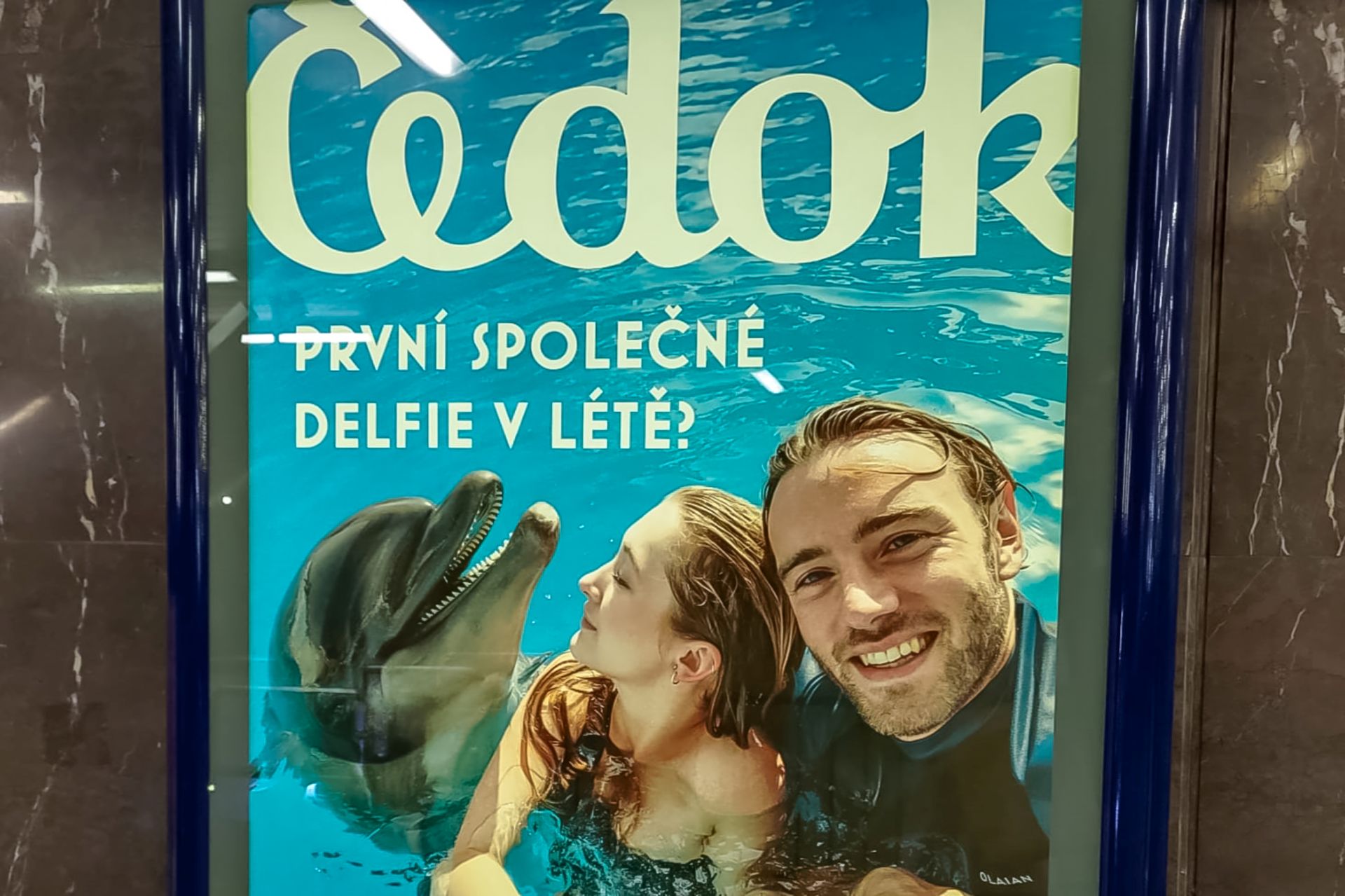 Kampaň Čedoku s delfíny. Foto: Ekonews