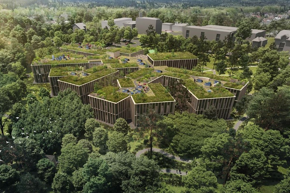Nové sídlo společnosti Lesy ČR v Hradci Králové by se mělo začít stavět převážně ze dřeva v roce 2026. Vizualizace: poskytnutá společností Lesy ČR