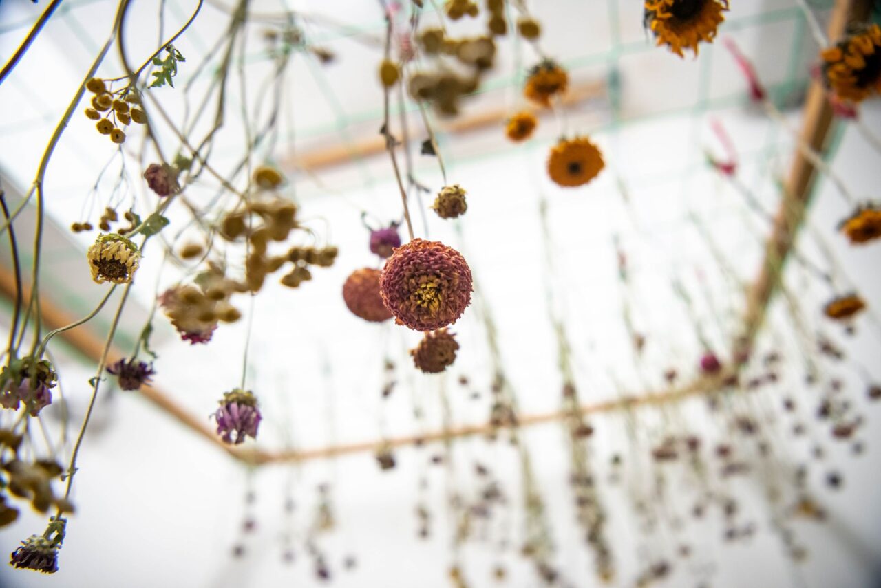 Sušené květiny se přidávají do kytic pro větší pestrost v chladných měsících. Foto: Kateřina Hefler