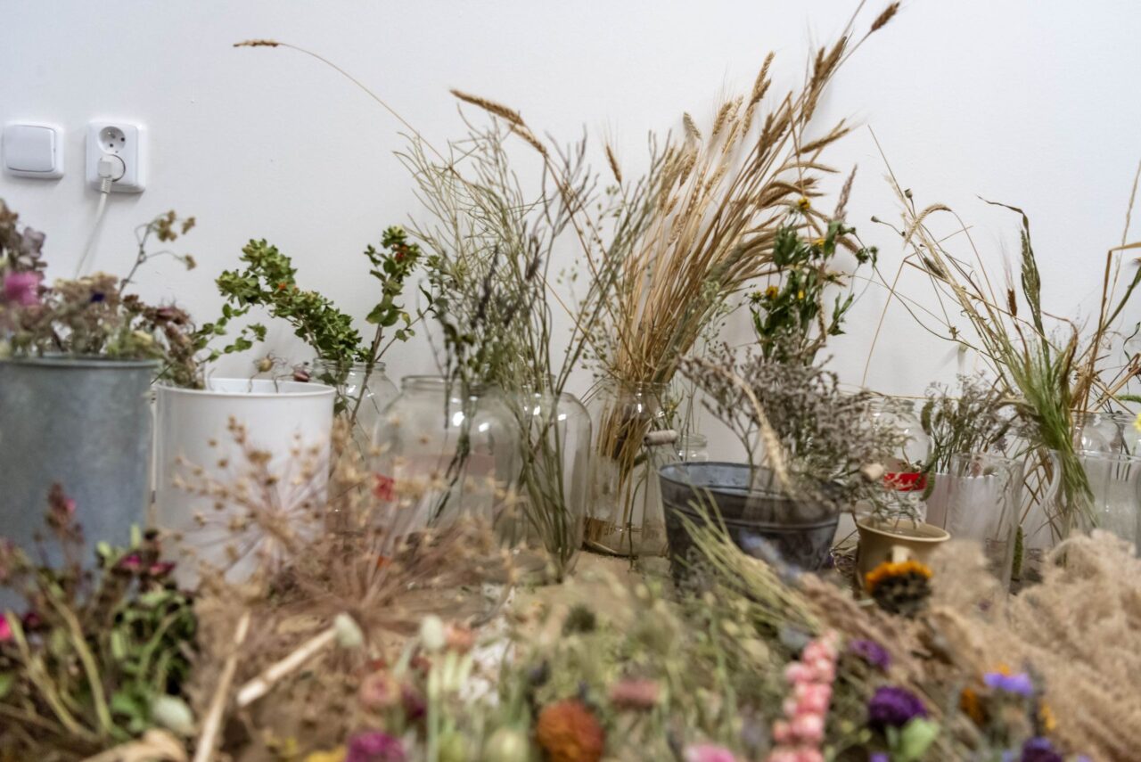 Během zimních měsíců floristky ateliéru Verbaskum přidávají do kytic pro větší pestrost sušené květy. Foto: Kateřina Hefler, Ekonews