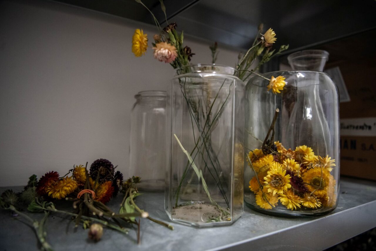 V zimních měsících farma Kytky od potoka vydělává na prodeji sušených květin. Foto: Kateřina Hefler