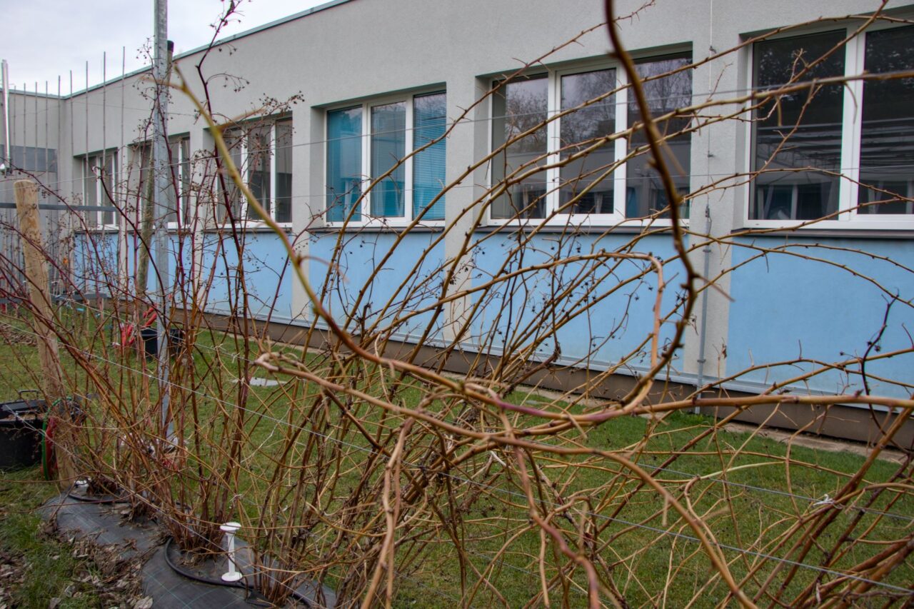 Solární panely chrání v horkých dnech před letním sluncem. Foto: Karolína Chlumecká, Ekonews