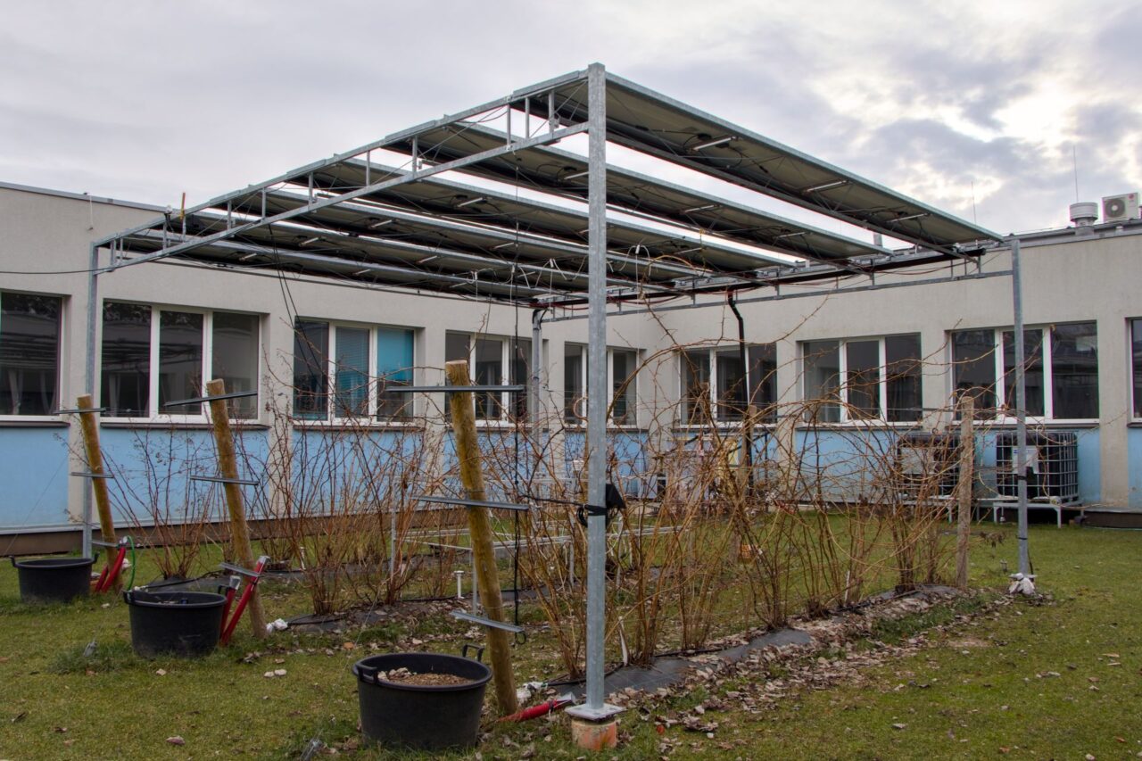 Soláry o maximálním výkonu pěti kilowattů pohánějí robotické sekačky a zavlažovací systém. Foto: Karolína Chlumecká, Ekonews