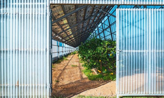 Agrovoltaický skleník nedaleko města Oristano na Sardinii. Foto: Paolo Valenti, lavialibera