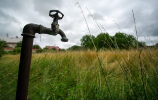 Ilustrační foto: ČTK / Taneček David