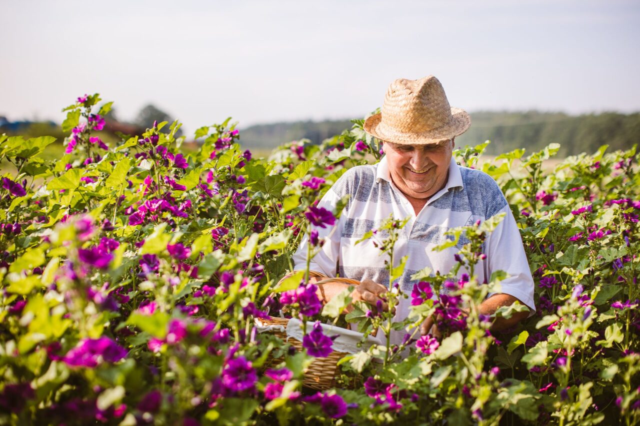 zhruba 200 různých druhů bylin, koření a kávy. Foto: poskytnuto společností Sonnentor