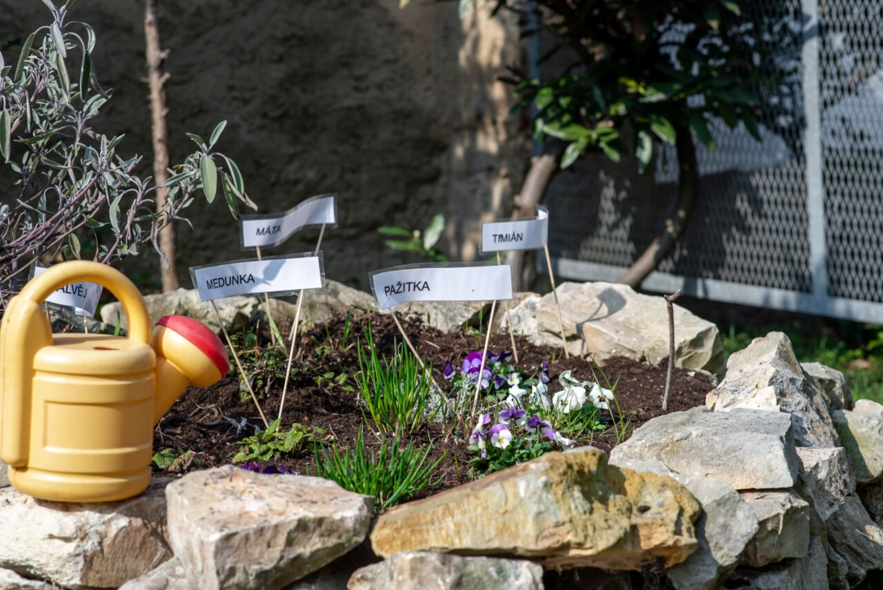 Na zahradě školky má každá třída svůj vlastní záhonek, o který pečuje. Foto: Kateřina Hefler, Ekonews