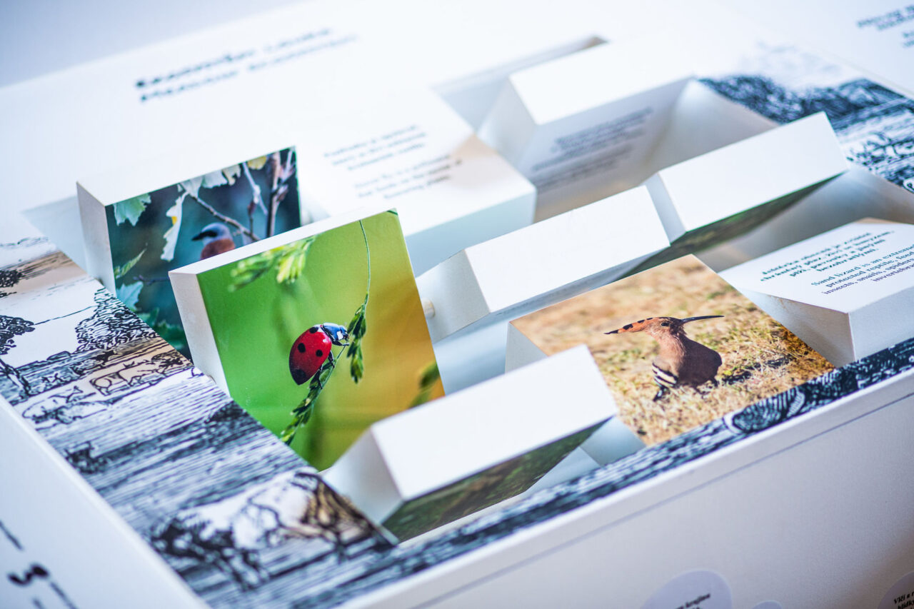 Návštěvníci výstavy ZeMě mohli k tématům přistupovat nejen racionálně, ale i skrze emoce a představivost. Foto: Národní muzeum