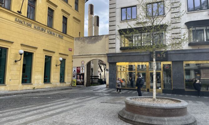 Jeden ze dvou stromů, které nechal magistrát vysadit na Jungmannově náměstí v centru Prahy. Foto: Valentina Podlesná, Ekonews