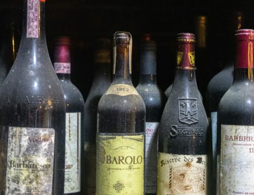 „Věčných chemikálií“ v evropských vínech výrazně přibývá. Jednou z příčin mohou být pesticidy